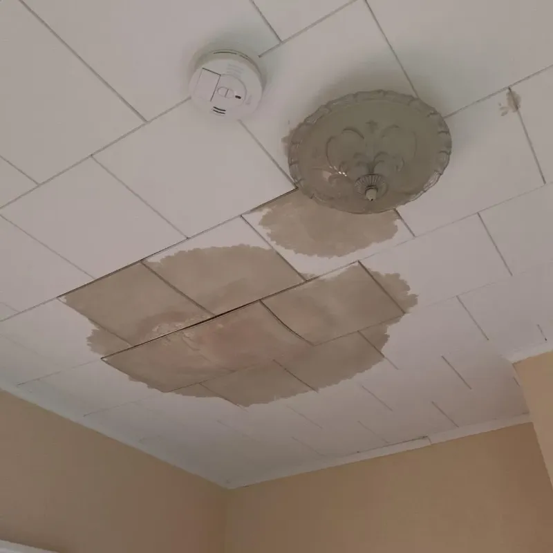 Ceiling Water Damage Repair in Isabella County, MI