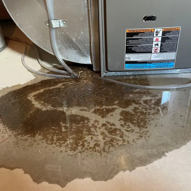 Pipe Burst and Leak Restoration in Isabella County, MI